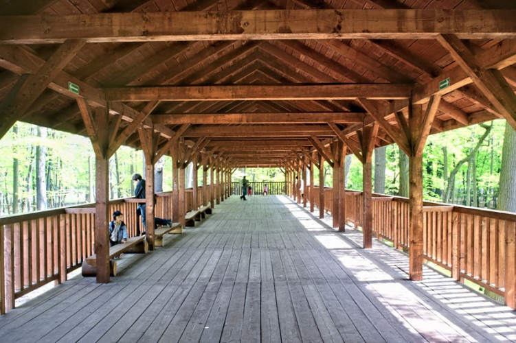 Platforma do obserwacji żubrów Platforma do obserwacji żubrów