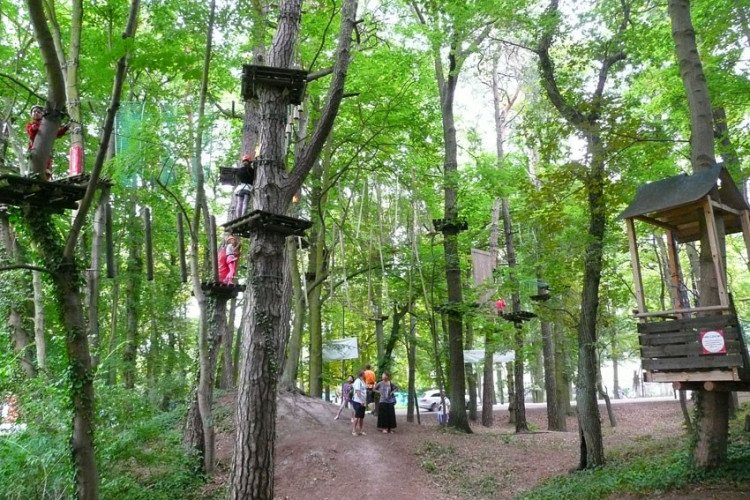 ŚWINOUJŚCIE - Park linowy Bluszcz ŚWINOUJŚCIE - Park linowy Bluszcz