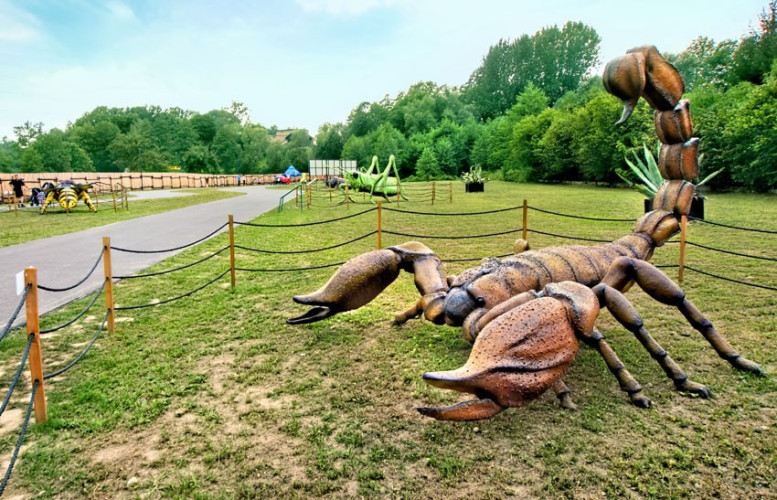 ZATOR - Park Owadów ZATOR - Park Owadów