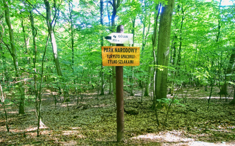 Drogowskaz na szlaku do punktu widokowego Drogowskaz na szlaku do punktu widokowego