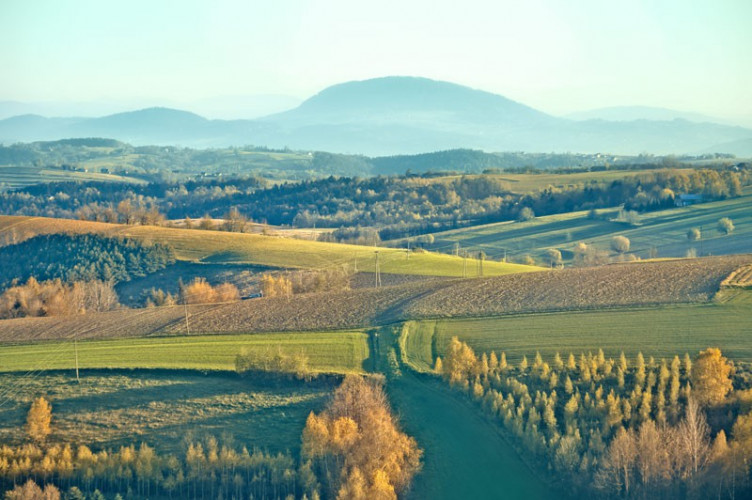 BRUŚNIK - Wieża widokowa BRUŚNIK - Wieża widokowa