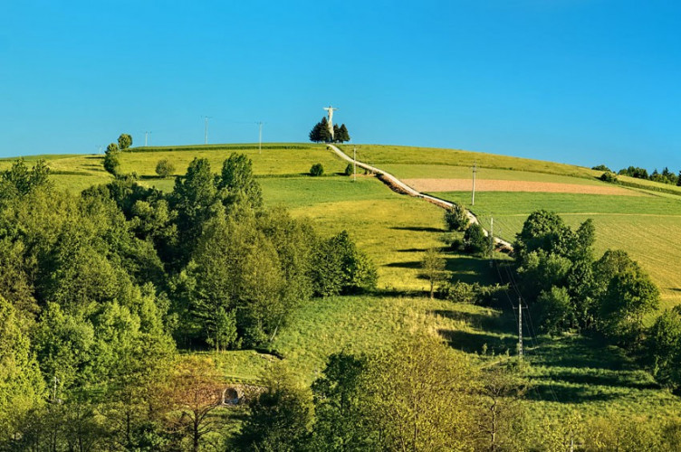 Widok z dołu Widok z dołu