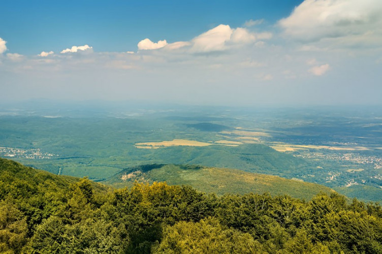 Widok na okolicę z wieży Widok na okolicę z wieży