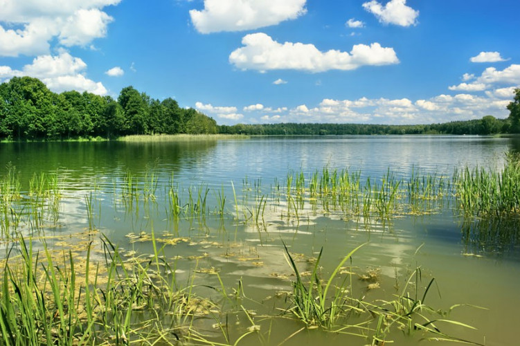 Okolice plaży Okolice plaży