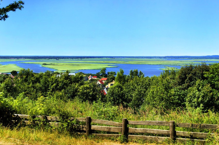 Widok z Zielonki Widok z Zielonki