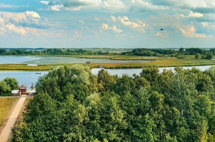 Widok z wieży Widok z wieży