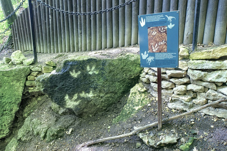 Ślady dinozaurów Ślady dinozaurów