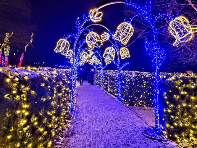KRAKÓW - Ogród Świateł KRAKÓW - Ogród Świateł