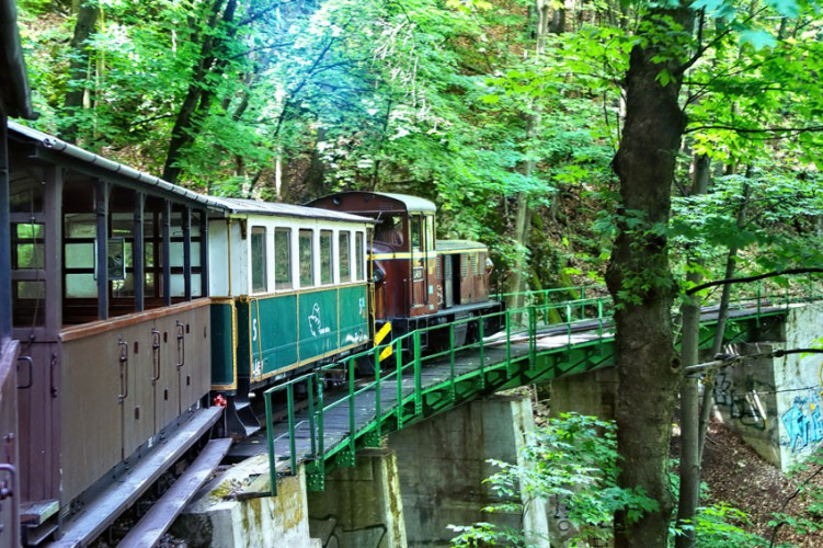 Ciuchcia wąskotorowa Ciuchcia wąskotorowa