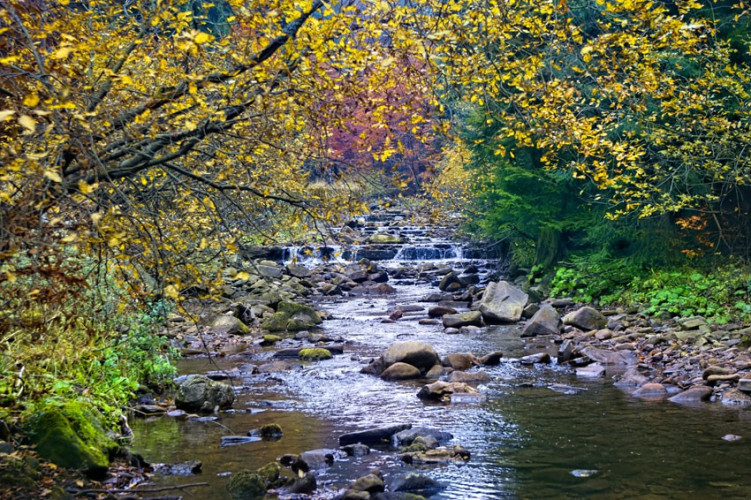 Biała Wisełka Biała Wisełka