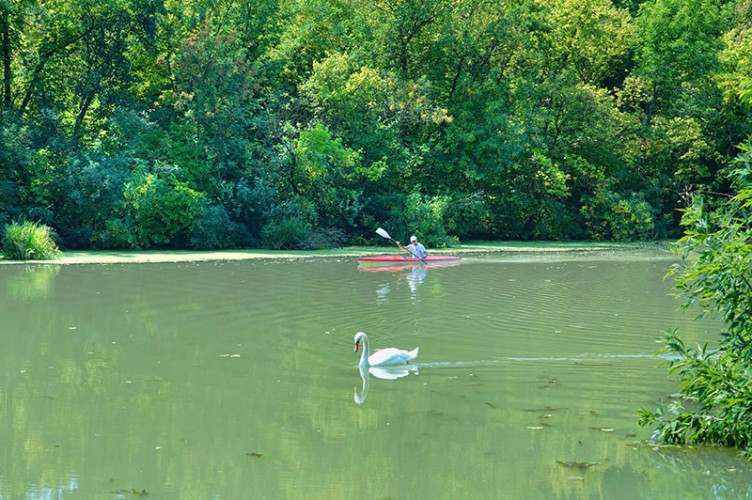 Widok z przystani przy wieży Widok z przystani przy wieży